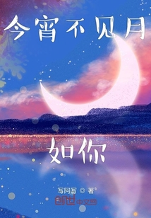 今宵不見月如你
