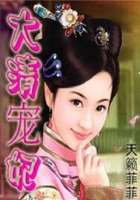 大清寵妃在線閱讀