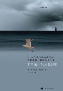 未來(lái)是一只灰色海鷗(普拉斯作品)