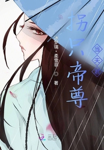 拐只帝尊当夫君