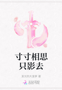 寸寸相思只影去