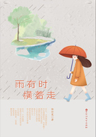 雨有时横着走