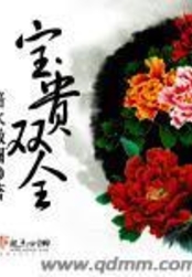 宝贵双全在线阅读