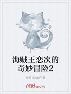 海贼王恋次的奇妙冒险2在线阅读