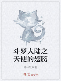 斗羅大陸之天使的翅膀