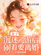 妻子沉迷乙游后闹着要离婚在线阅读