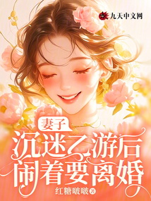 妻子沉迷乙游后鬧著要離婚