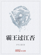 霸王过江否在线阅读