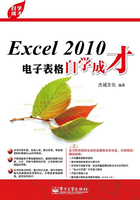 Excel 2010电子表格自学成才