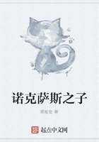 诺克萨斯之子