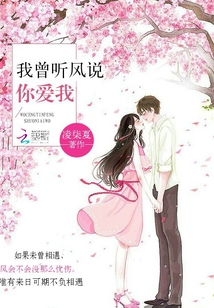我曾聽風說你愛我