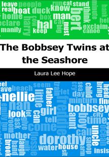 The Bobbsey Twins at the Seashore