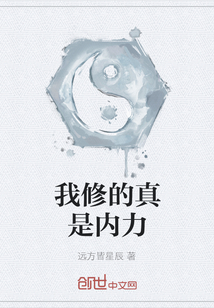 我修的真是内力