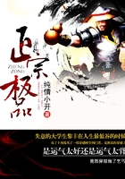正宗極品在線閱讀