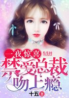 一夜惊喜:禁爱总裁吻上瘾在线阅读