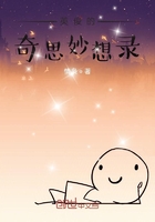 英俊的奇思妙想录在线阅读