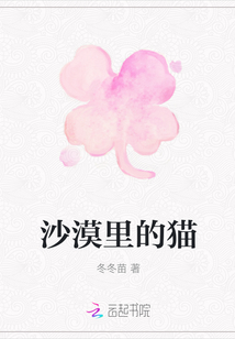 沙漠里的貓