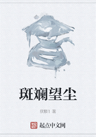 斑斓望尘