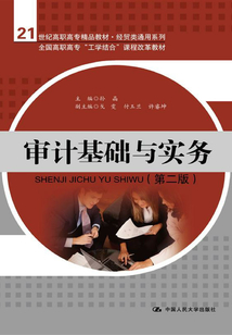 審計基礎與實務(第二版)