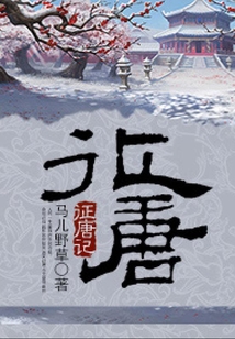 征唐記