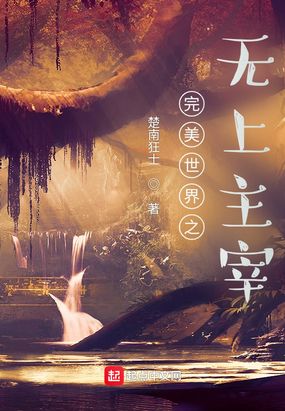 完美世界之无上主宰在线阅读