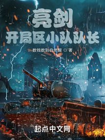 亮劍：開局區小隊隊長