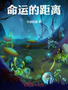 命运的距离在线阅读