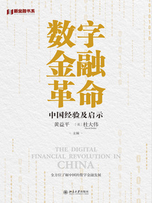 數字金融革命：中國經驗及啟示