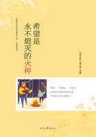青春文學精品集萃叢書·希望系列：希望是永不熄滅的火種在線閱讀
