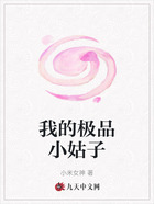 我的极品小姑子在线阅读
