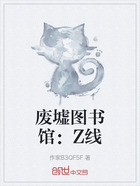 废墟图书馆:Z线在线阅读