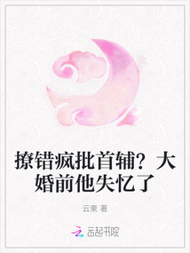 撩錯瘋批首輔?大婚前他失憶了