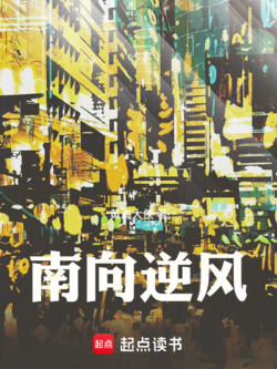南向逆风 封面