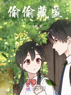 偷偷藏匿在线阅读