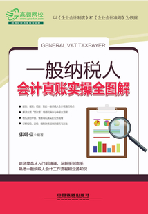 一般納稅人會計真賬實操全圖解