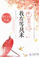 我在等風(fēng)來也等你在線閱讀