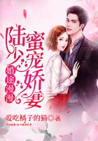 婚途漫漫：陸少蜜寵嬌妻在線閱讀