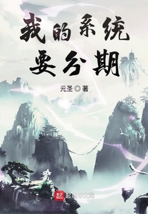 我的系統要分期