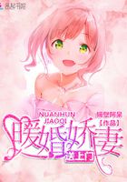 暖婚嬌妻送上門在線閱讀