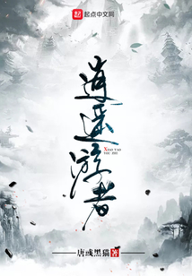 逍遥游者
