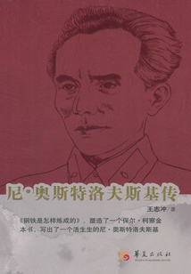 尼·奧斯特洛夫斯基傳