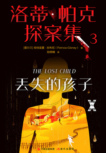洛蒂·帕克探案集3:丟失的孩子