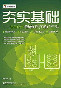 夯實基礎：初三化學跟蹤練習（下冊）