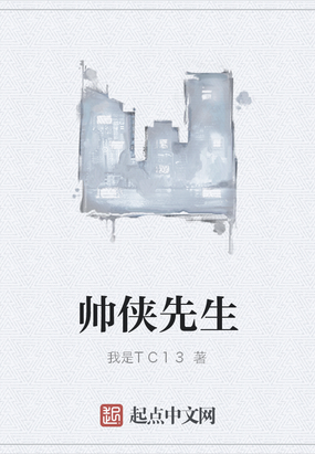 帅侠先生在线阅读
