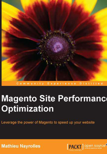 Magento Site Performance Optimization