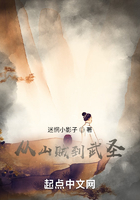 从山贼到武圣在线阅读