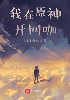我在原神开网咖在线阅读