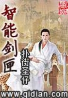 智能剑匣