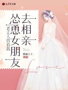 老丈人背着我,怂恿女朋友去相亲在线阅读