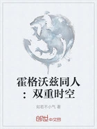 霍格沃兹同人:双重时空在线阅读